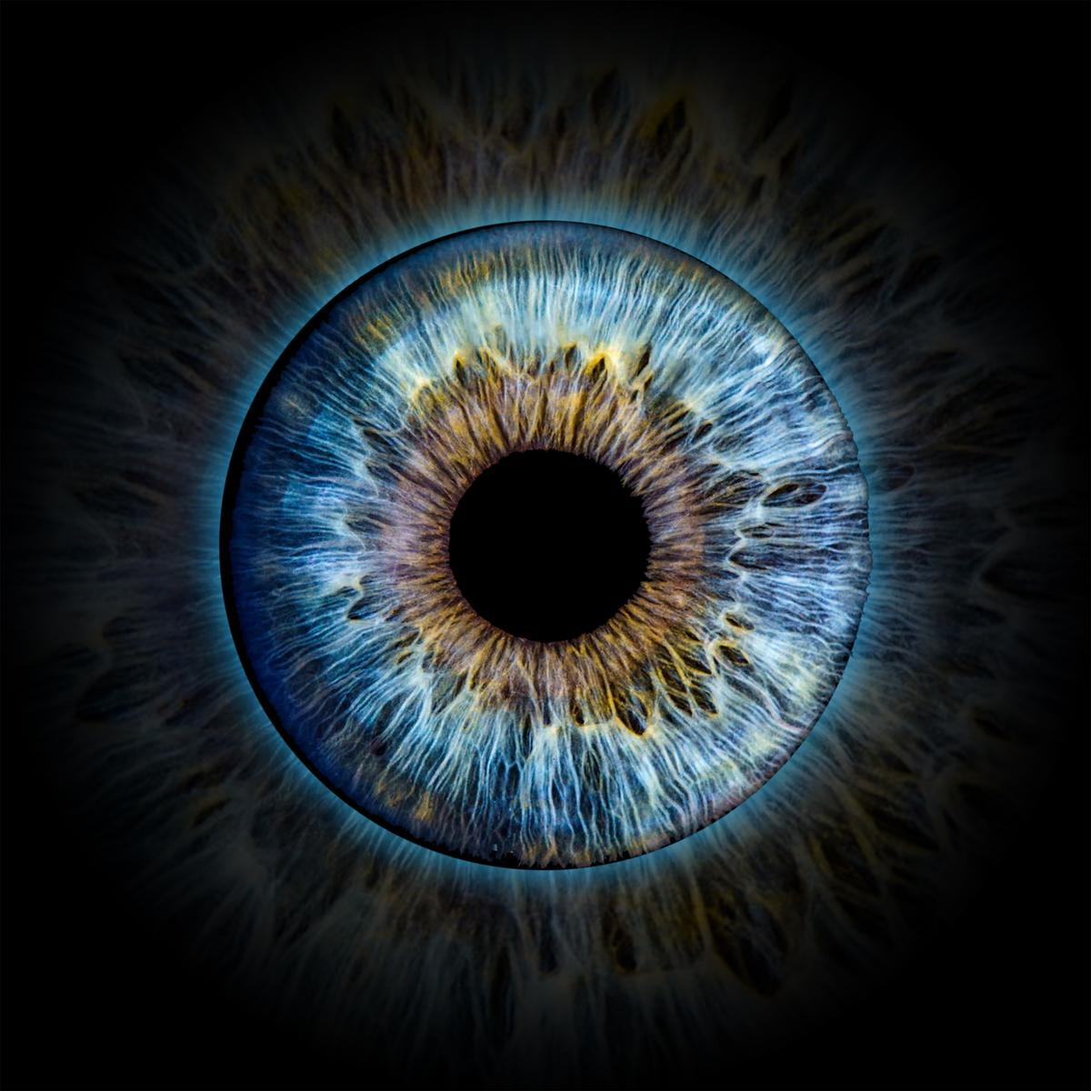 Irisfotografie Makro